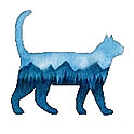 Sota