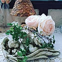 ringonokaori2018