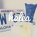 halea