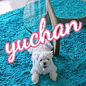 yuchan