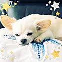 Natsumi9