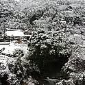 morimori