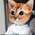 miyuki