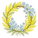 mimosa
