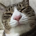 naru