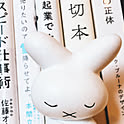 necoichi