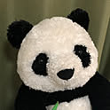 tanuki