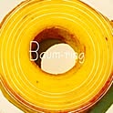 Baum-ring