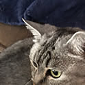 mitukosky