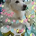 nonchan
