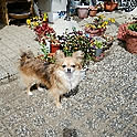 kmsm-abebe-0321