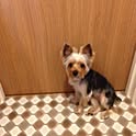 Ena
