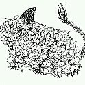 rabbit-long-ear