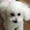 Chieko
