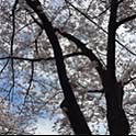 Atsuko