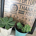 aaa