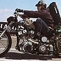 FLAP1995