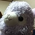 TAKU
