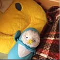 penchan