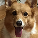 nana_o