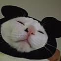 Aimi