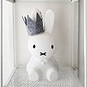 YUKI
