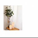 w._.w_myroom
