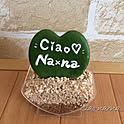 CiaoNaxna