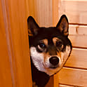 Hechima