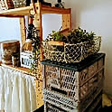 ribenjicyan
