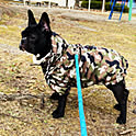 YUKA