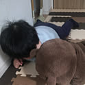 aya