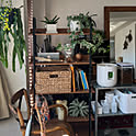 uni_room1124