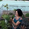 Yumi
