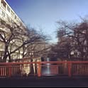 gdc
