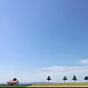 ny84