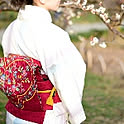 miyabi