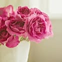 yuu_flower