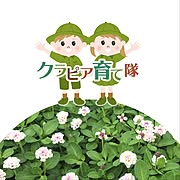 クラピア育て隊