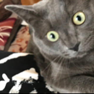 Reiko