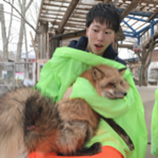 kenji