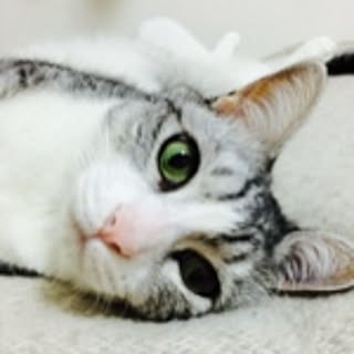 Chiron