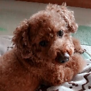 nao