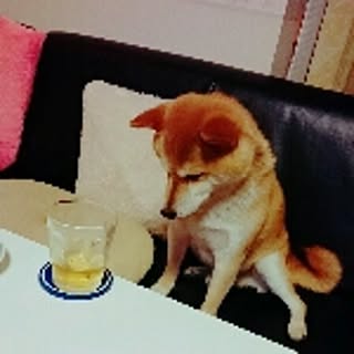 chama