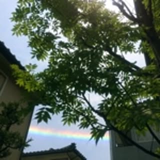 pochico