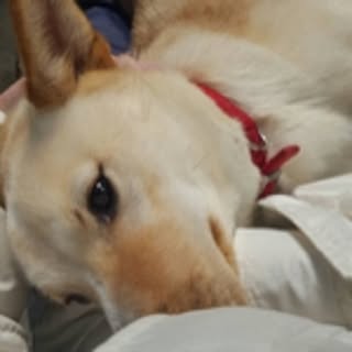 miiiii___naaaaa