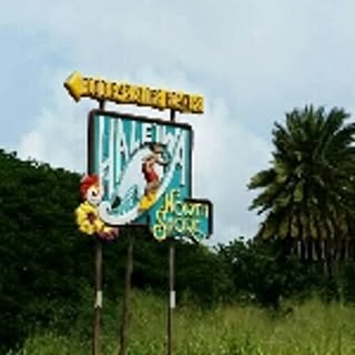 alohayayan