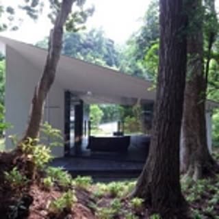 foretmoderne
