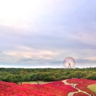 hiwahiwa