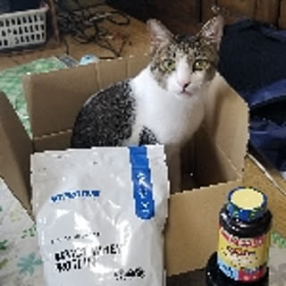 mohumohuookami